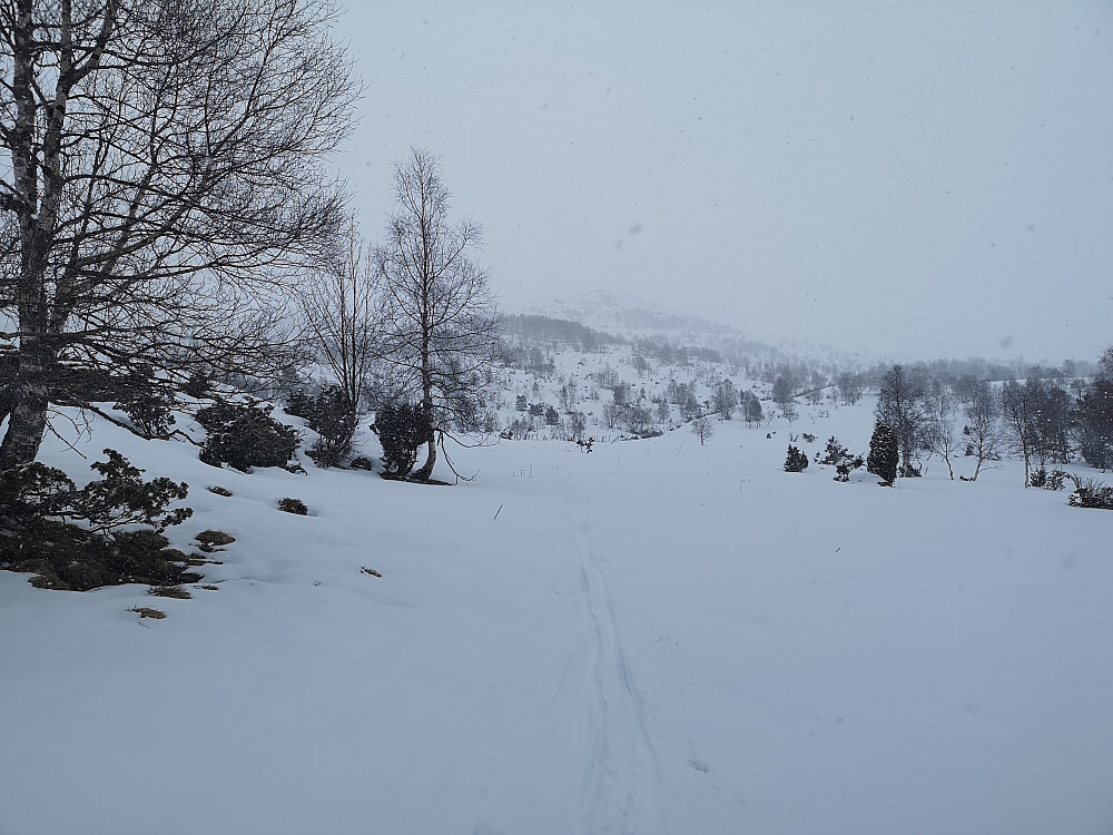 Ut Lotsbergdalen 