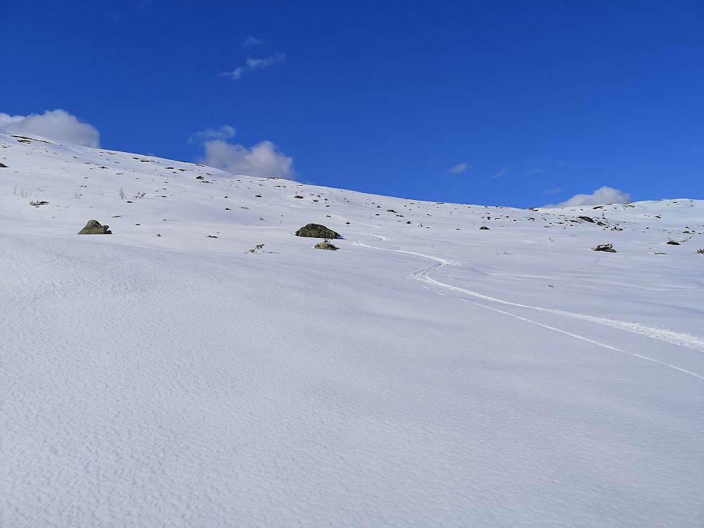 Fra Revureholten mot Lotsbergdalen