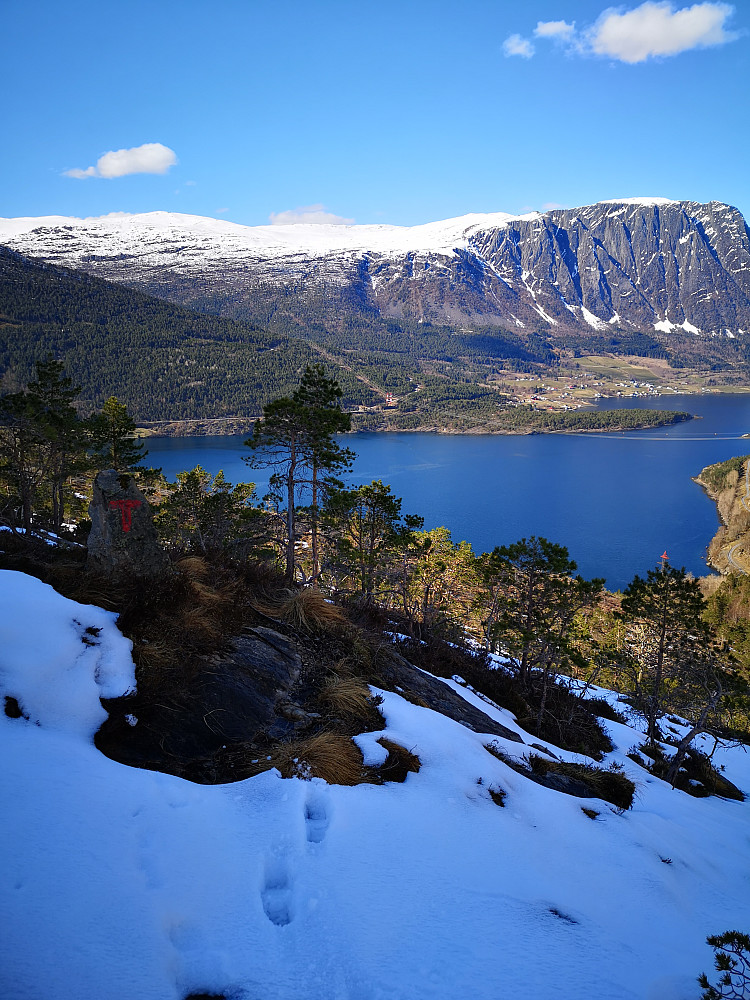 Ålfoten