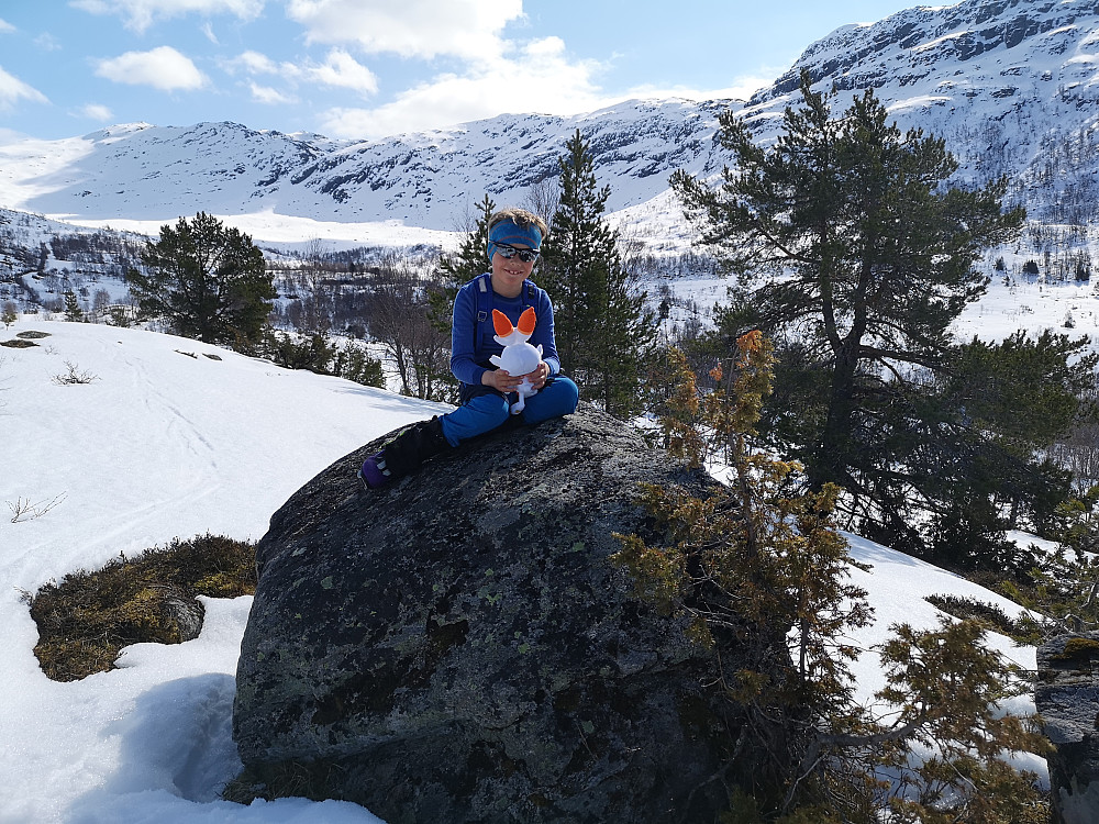 Ventestundi sola på Mistelhaugen 