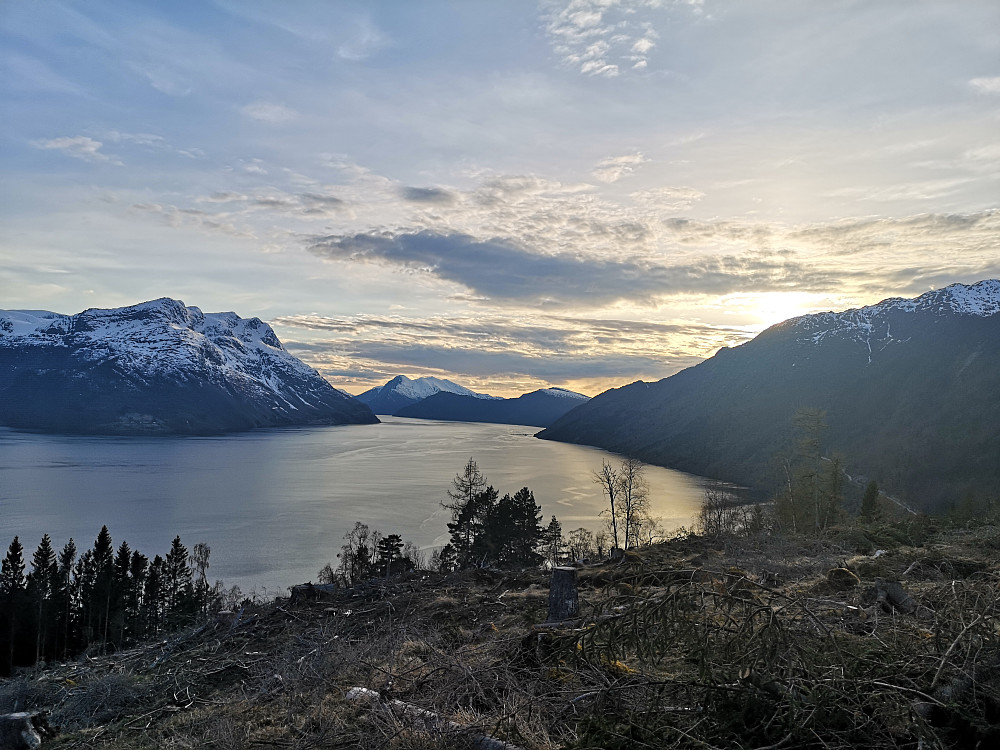 Resten av kveldssola