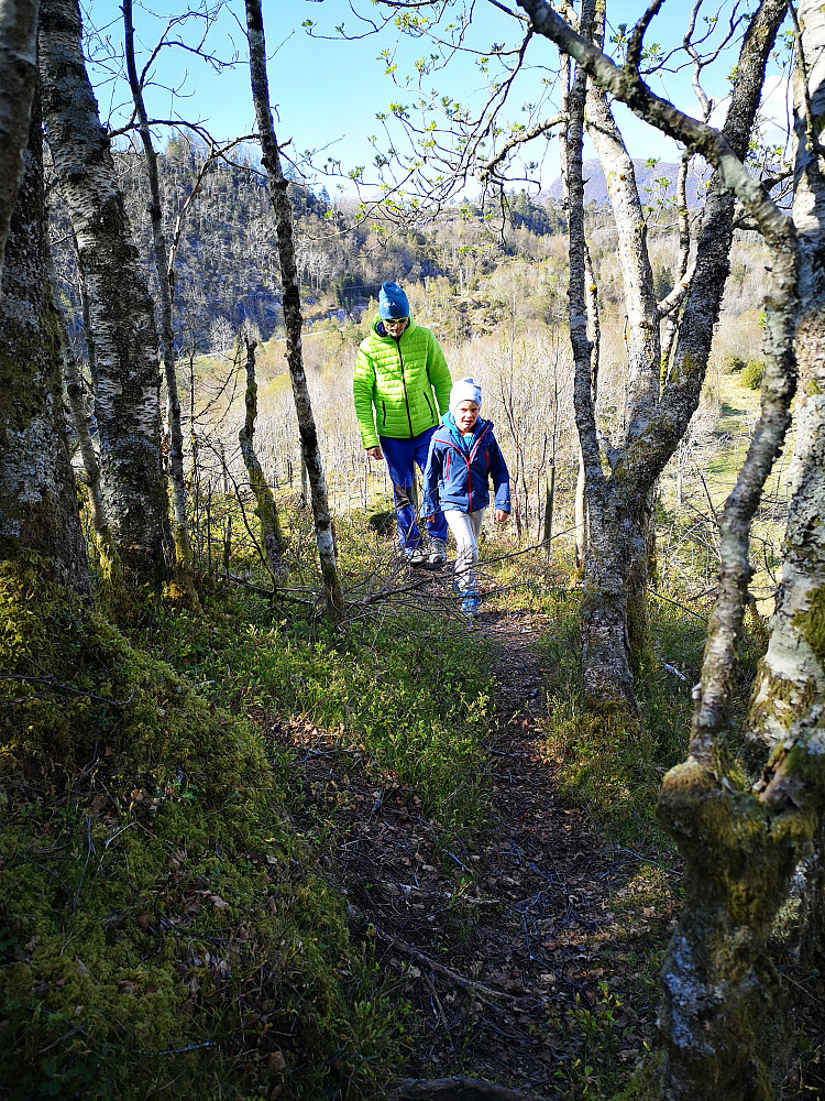 På vei opp mot Øyakollen