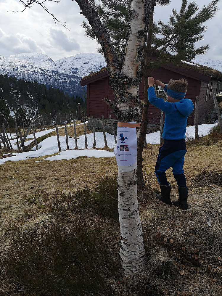 Turbotrimposten
