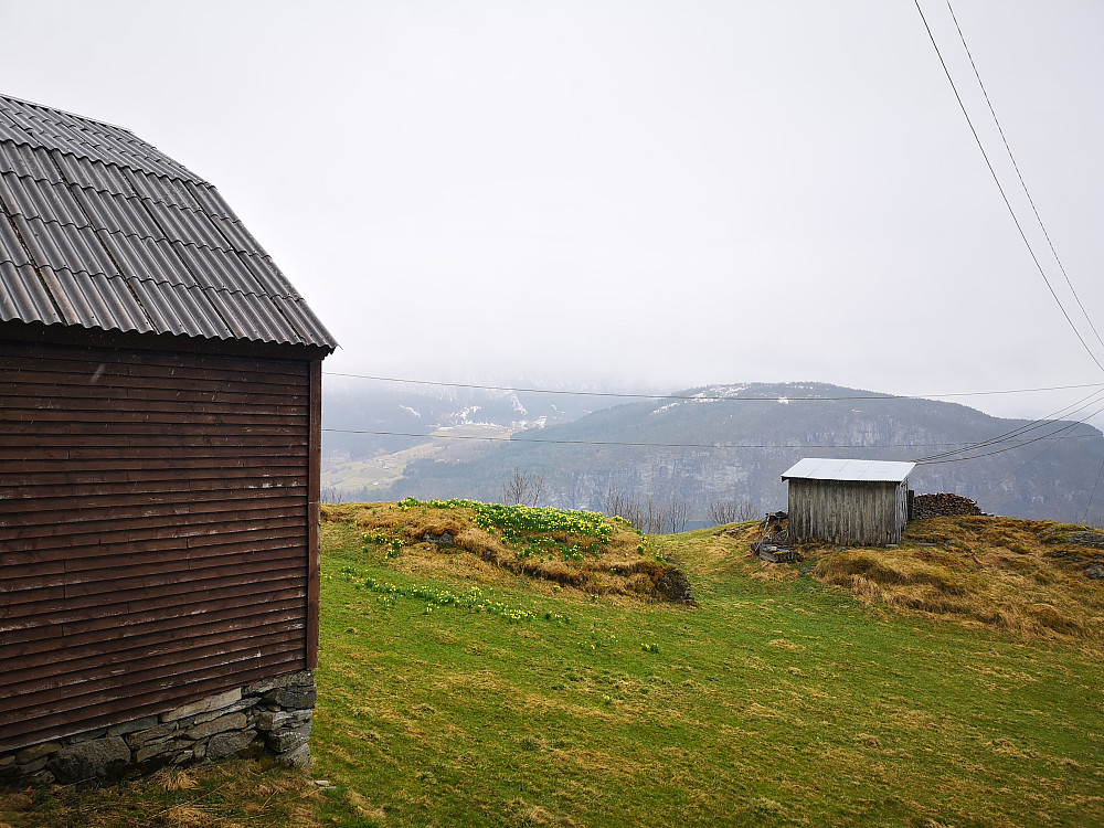 Indre Åsane