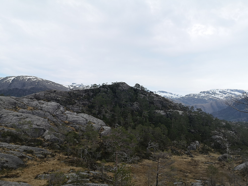 Ørnehaugen 