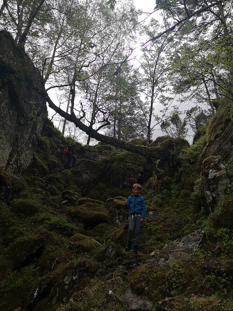 Skaret før toppen