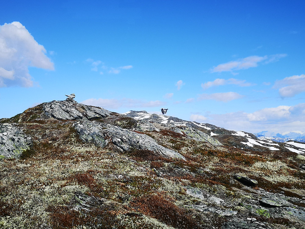 En rype letter fra toppen av Austlige Lotsbergnibba