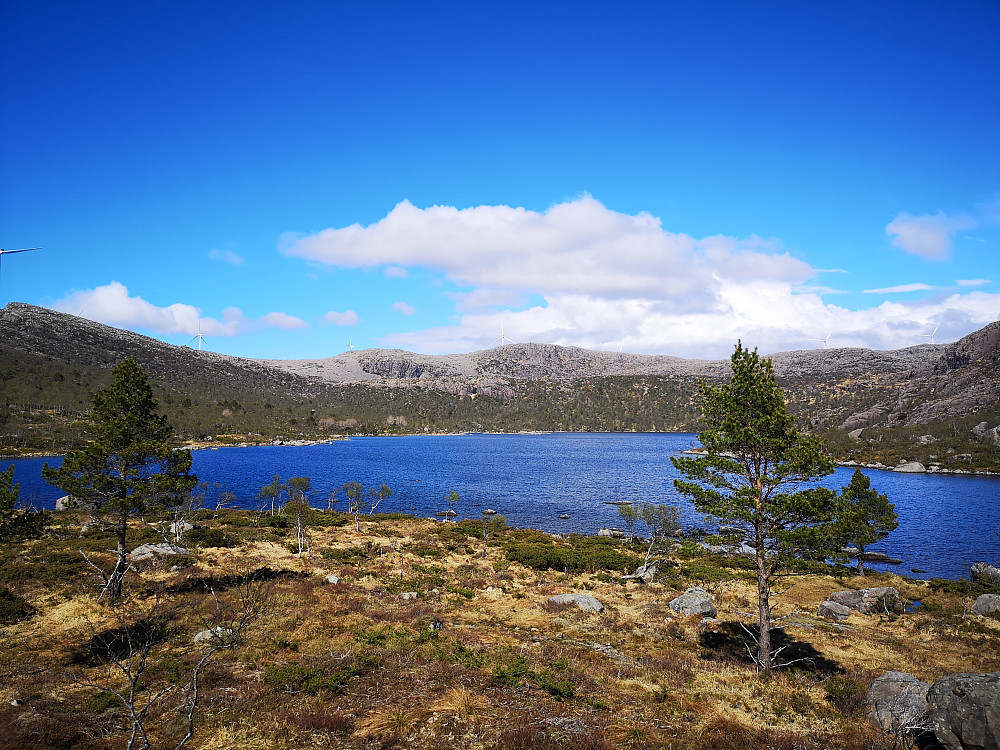 Guleskarvatnet