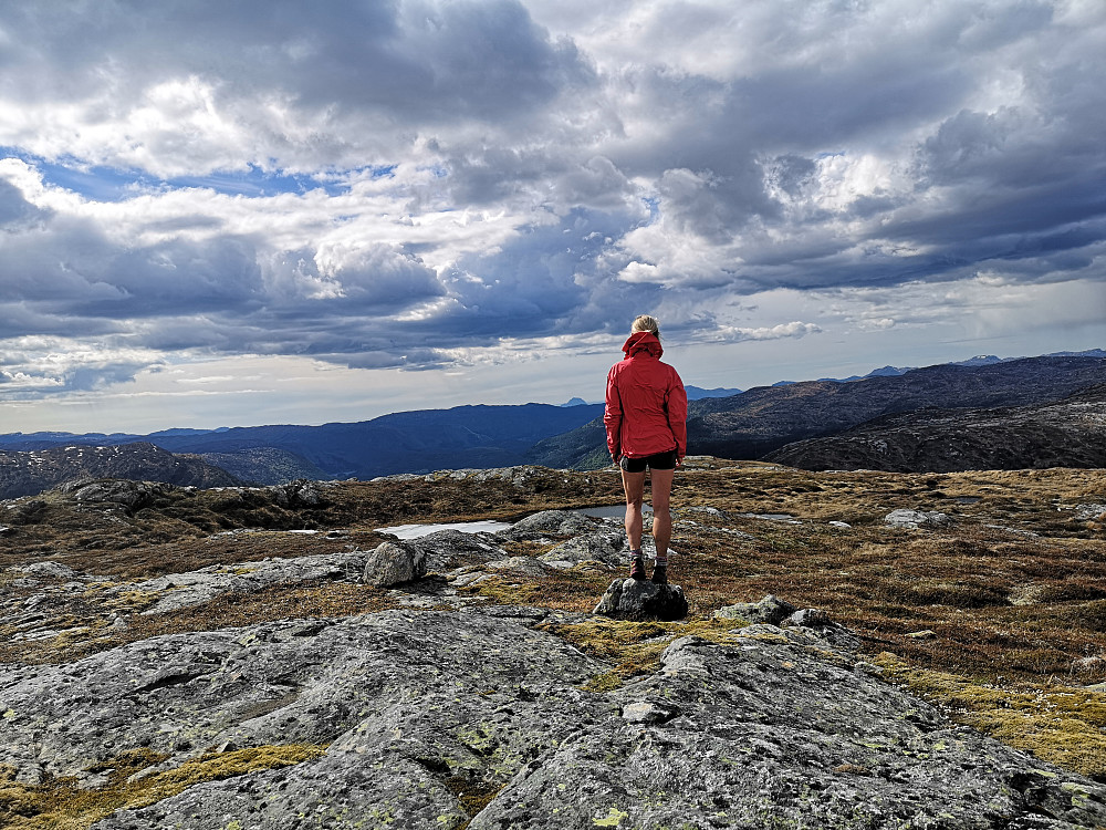 Høgefjellet