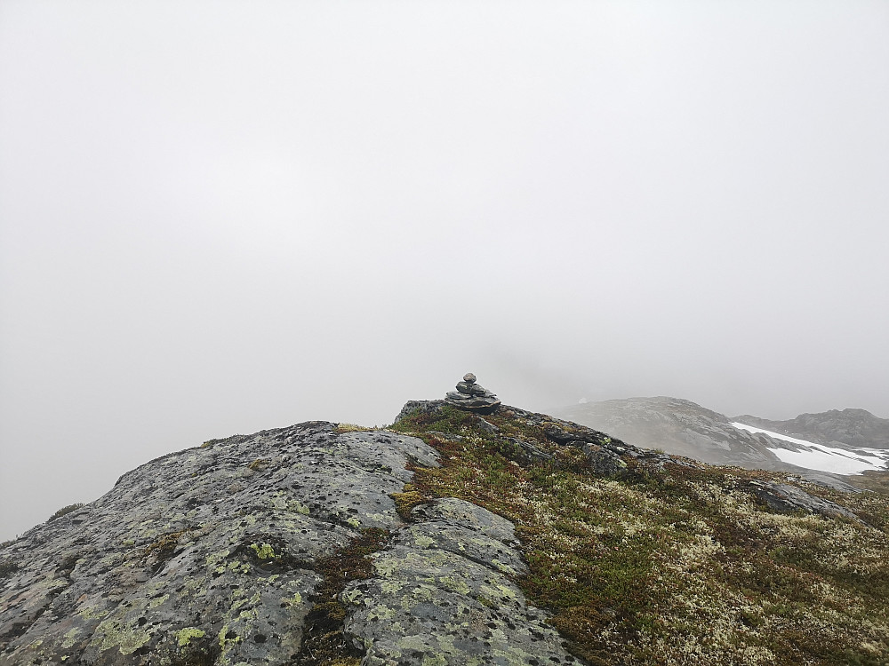 Bustenakkjen