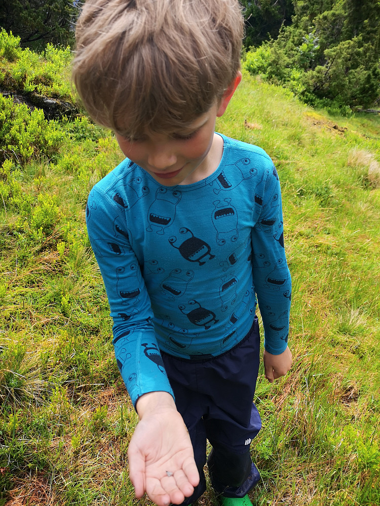 Vinjar har fått tak i en liten sommerfugl
