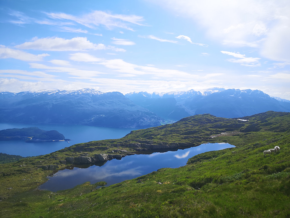 Fessevatnet
