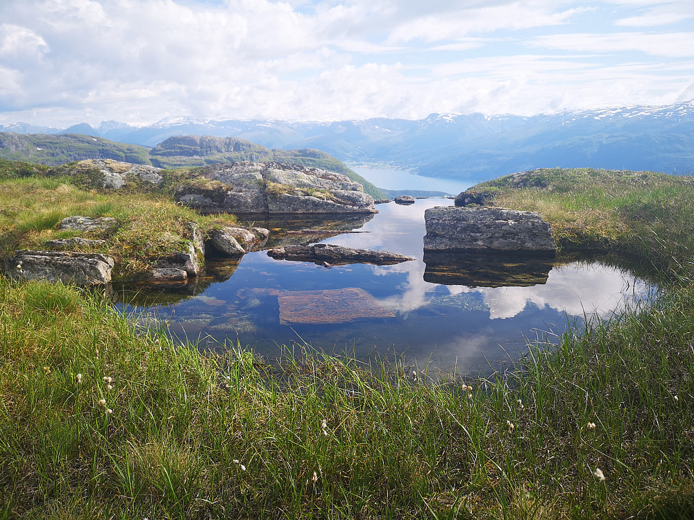 Herlige markjordbær 