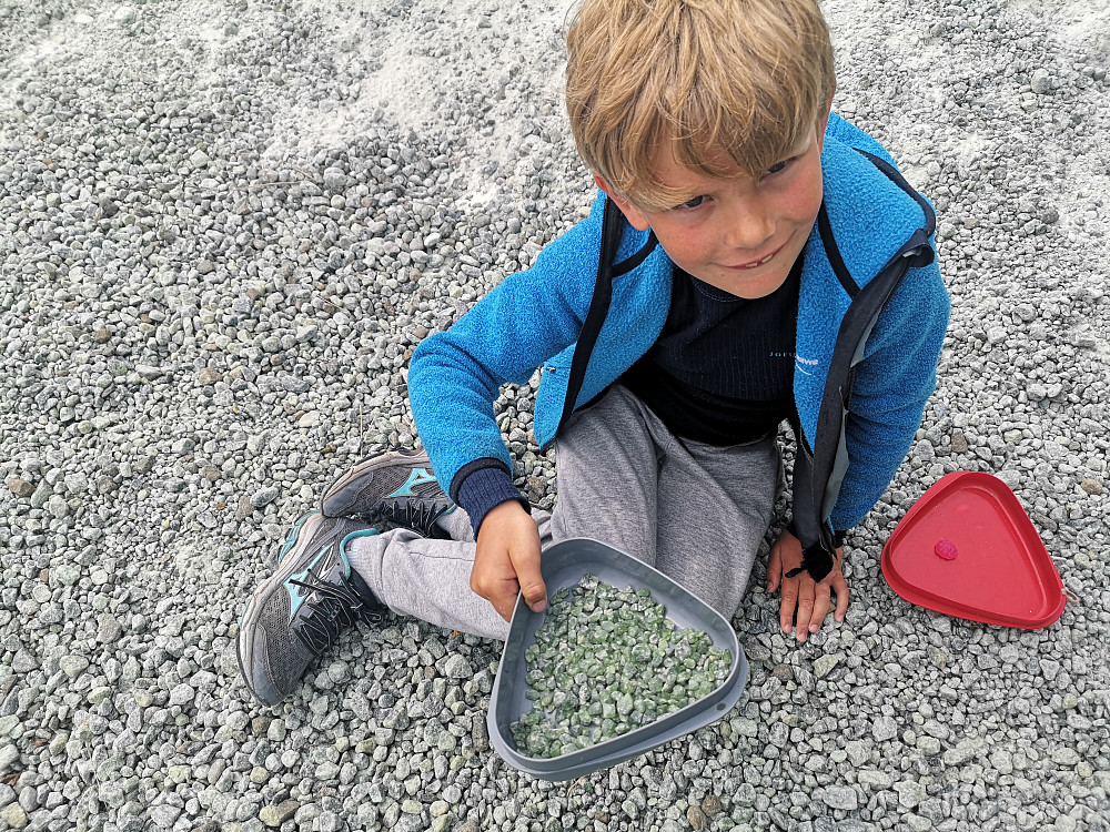 Leiting etter Peridotsteiner i Åheim på veg heim