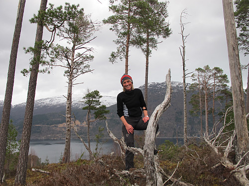 Janne med den storslåtte utsikten fra "topplatået" over Nordfjorden mot Lotsberg
