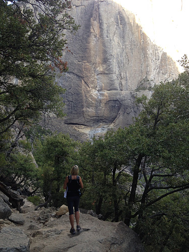 Stien opp med Upper Yosemite falls, helt tørrlagt nå, ikke en dråpe.... Flott allikevel med steile granittvegger