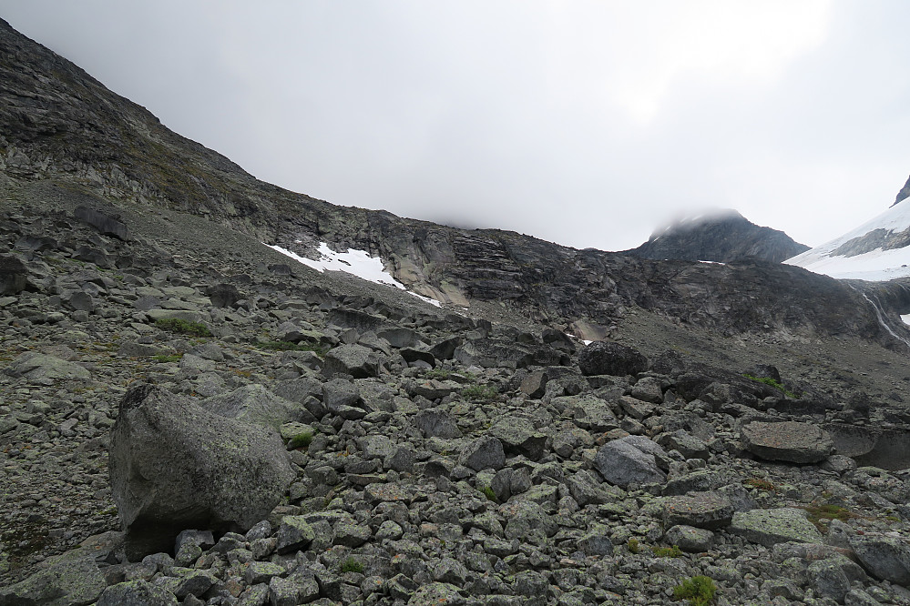 "Cruxet" i overgangen mellom Ringsdalen og innsteget til Ringsbreen er å komme seg opp dette svaområdet. Den vanlige ruta går ved moseområdet til venstre for snøfeltet.