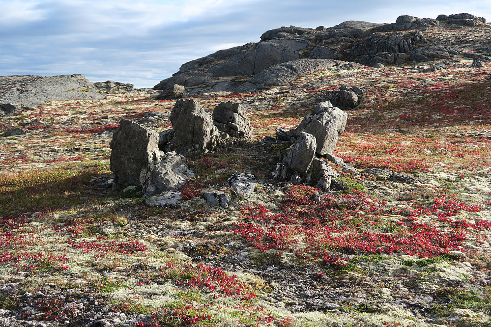 Lokal Stonehenge?