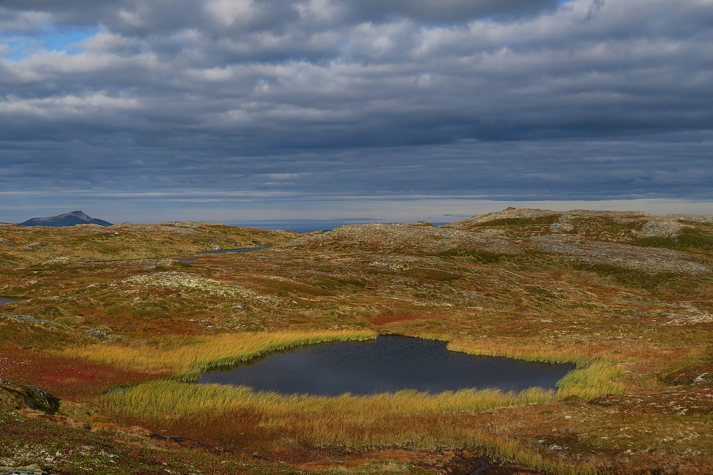 Tjern (705 moh)