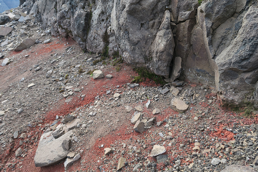 Thin red rock layers like this are common in Dyrafjöll