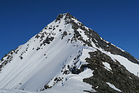 torehum_20190415_5cb4d15c77571.jpg