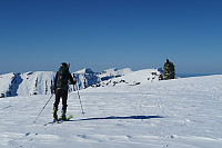 torehum_20190415_5cb4d15e109e8.jpg