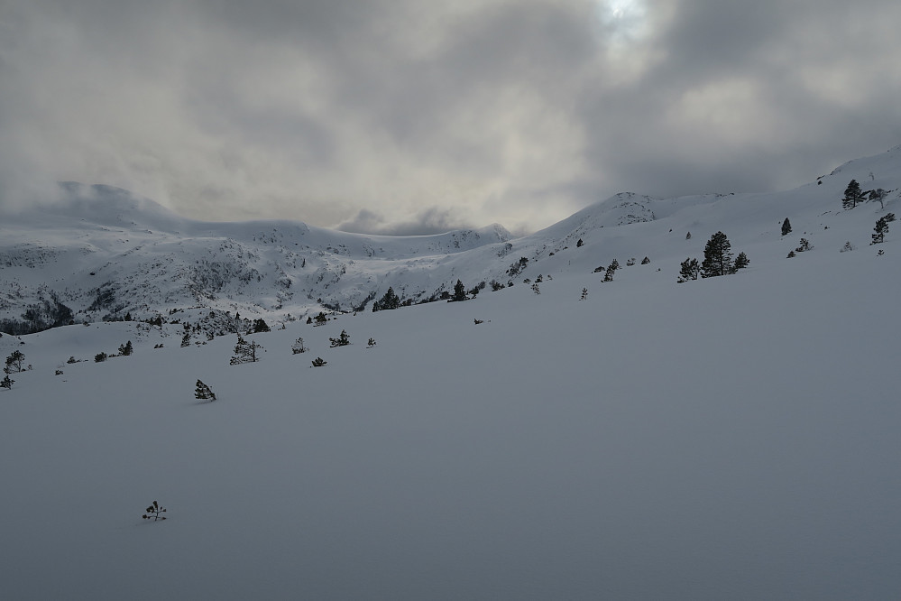 Bra med snø på Otrøya
