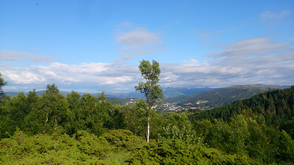 Toppefjellet