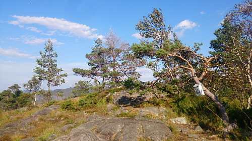 The summit of Spåkefjellet