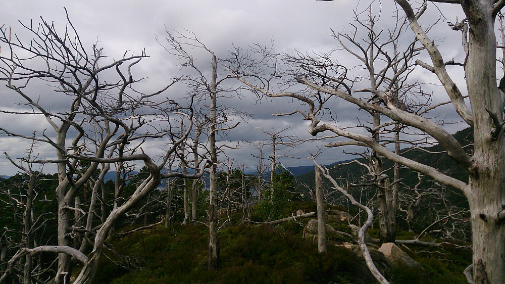The summit area at Tennebekksnipa