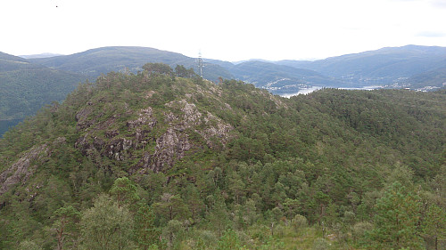 Erviknipa