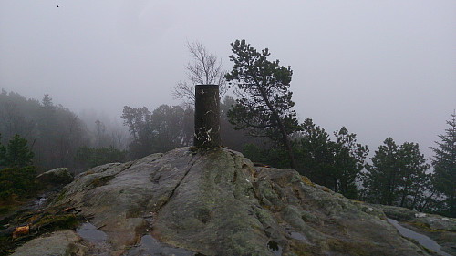 Fløyvarden