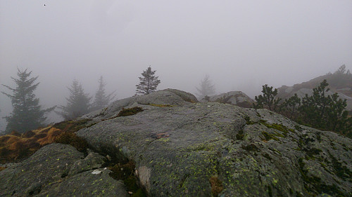 Nordre Midtfjellet