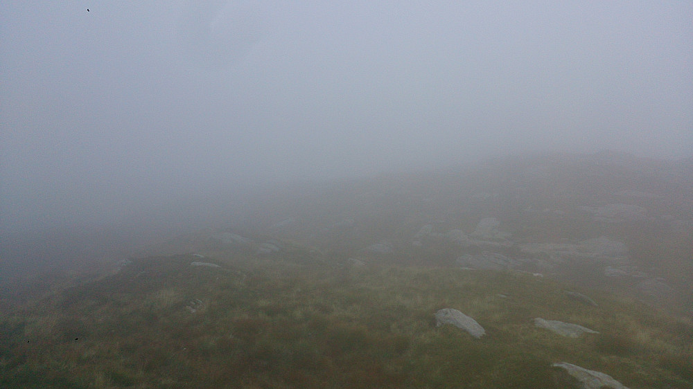 View from Hauggjeldsvarden...