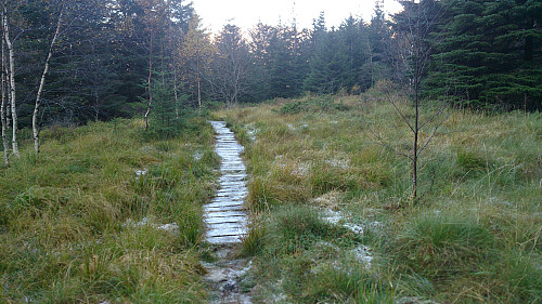 Isdalen living up to its name
