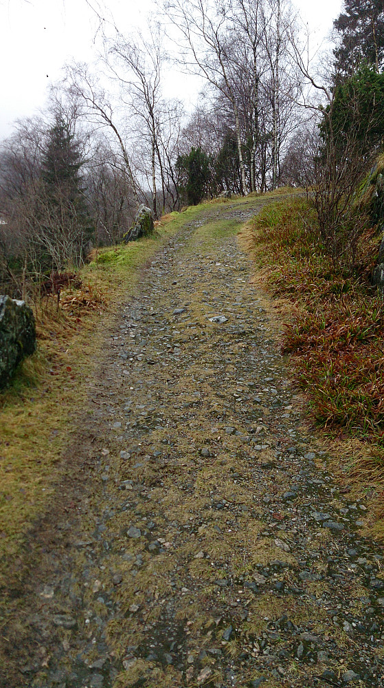 Gravel road towards the summit