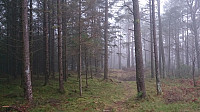 Trail followed from Ospåsen