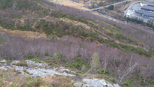 Looking down at the trail I left before starting the steep ascent