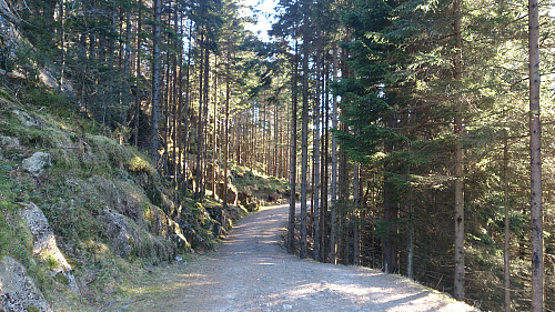 The nice gravel road around Storavatnet