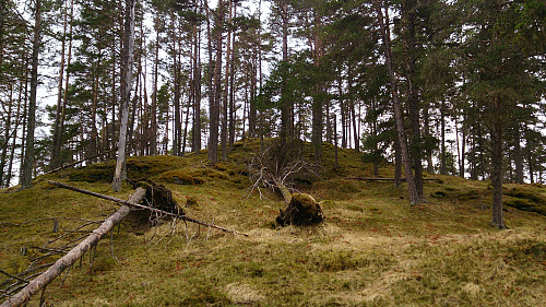 The summit of Romnaholten