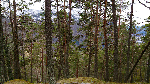 Limited views from the summit