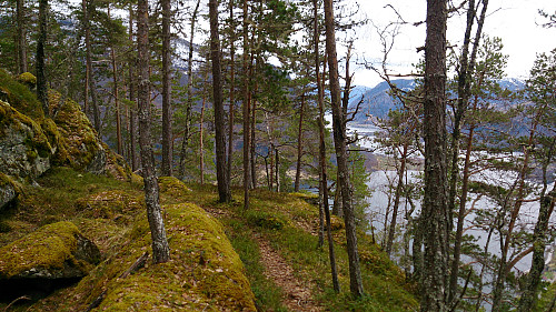 Viewpoints to the south of the summit