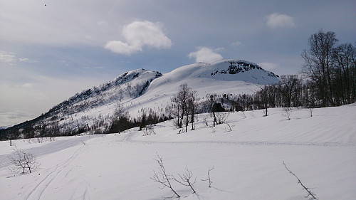 Reppanipa from the northeast