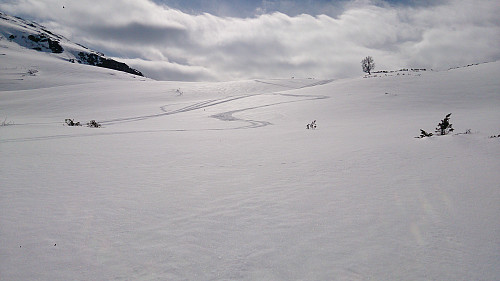 Perfect skiing conditions!