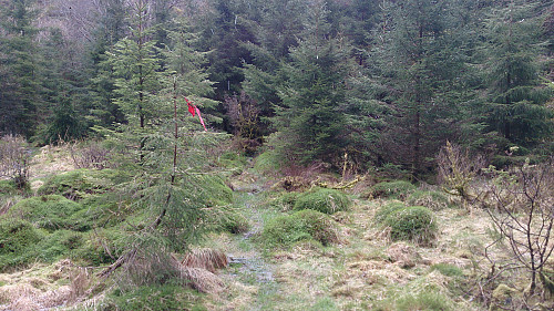 Start of the trail towards Røysetfjellet
