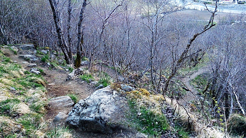 The trail up towards Brekkefossen