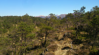 Trail towards Nordhordlandskulten