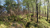 Trail towards Floråsen