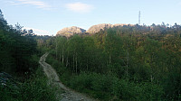 Road north from Myrlandsvatnet