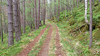 The trail up from Festingdalen